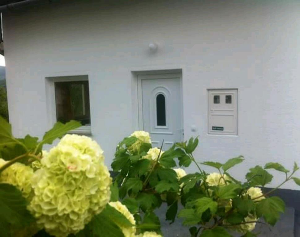 Guest House First Stop Rakovica Buitenkant foto