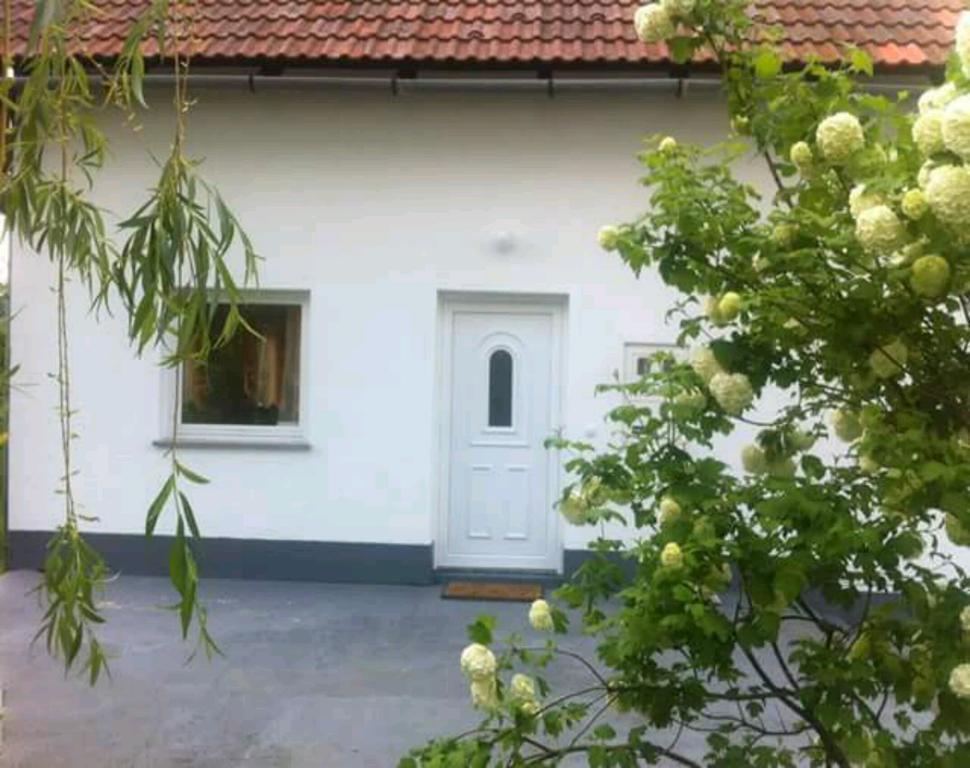 Guest House First Stop Rakovica Buitenkant foto