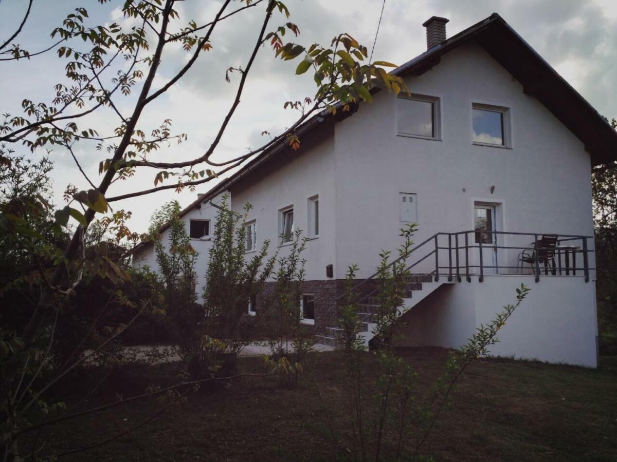 Guest House First Stop Rakovica Buitenkant foto